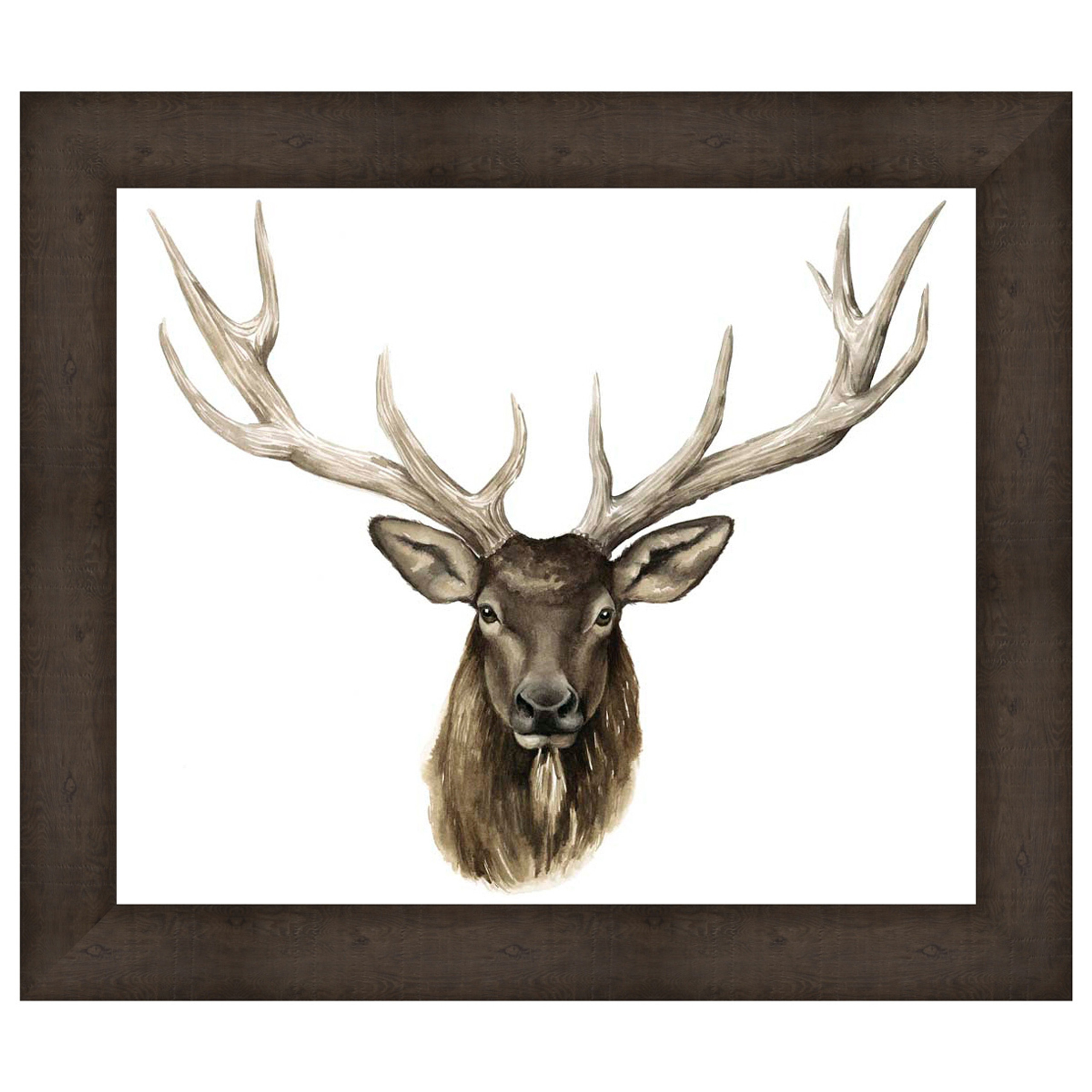 Single Elk Framed Canvas | Camo Trading