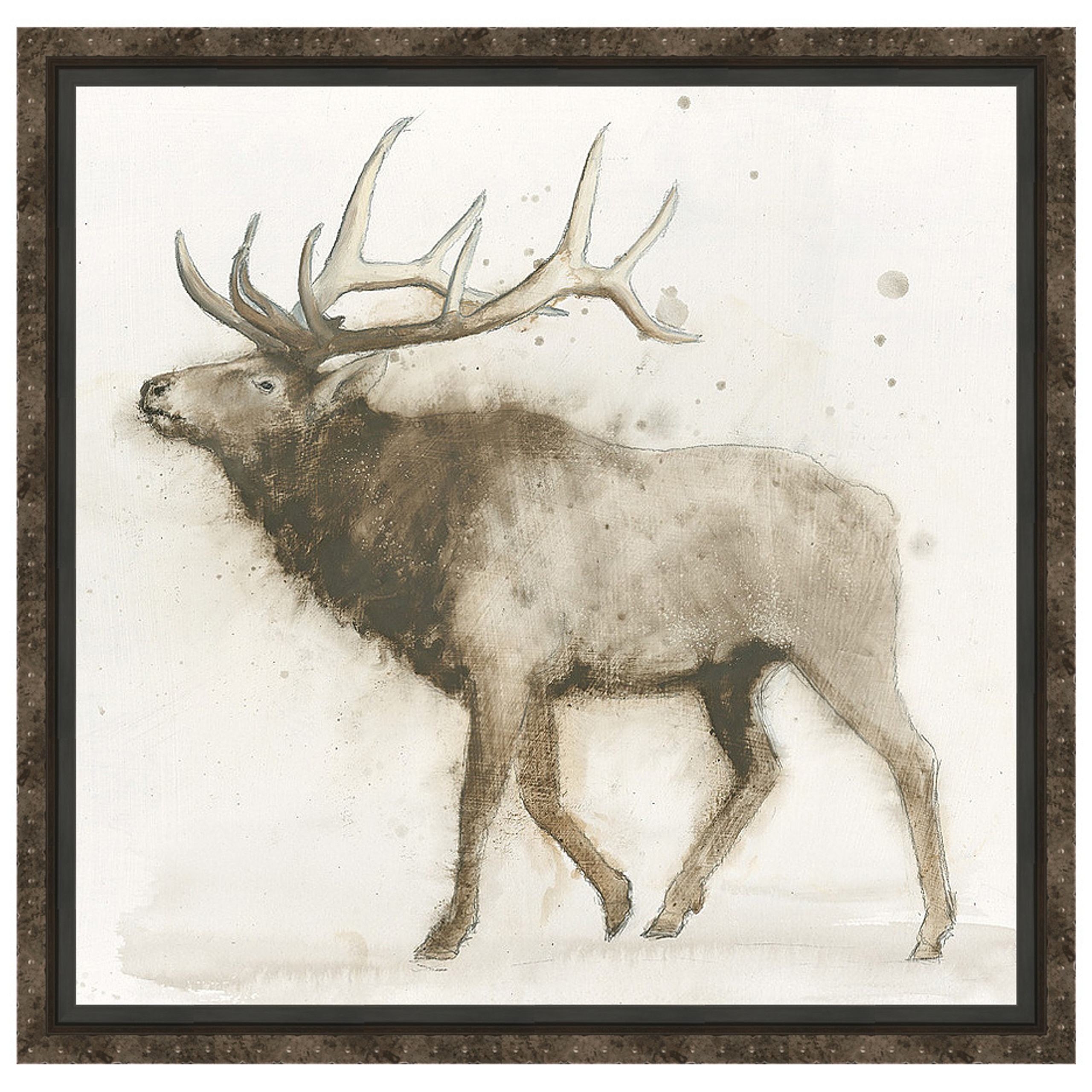 Single Elk Framed Canvas | Camo Trading