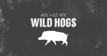 Wild Hogs Infographic Camo Trading