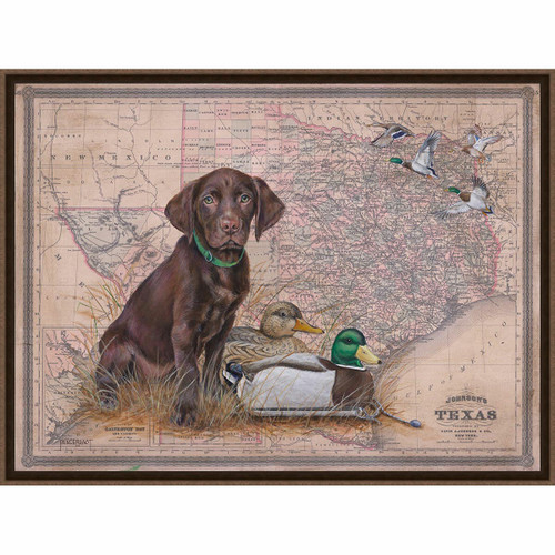 Texas Chocolate Lab Pup Framed Canvas