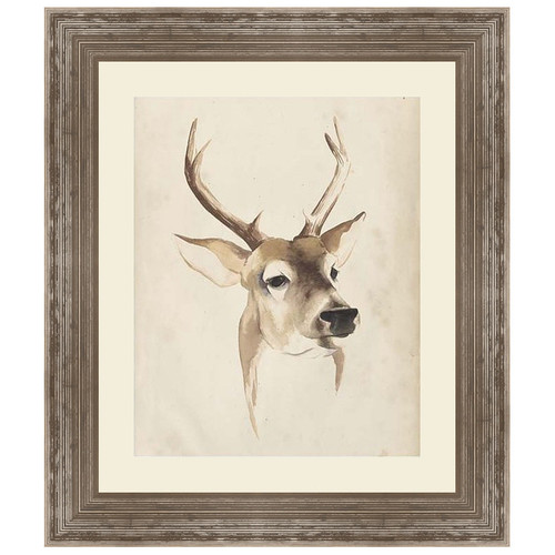 Watercolor Animal Study IV with Mat Framed Print