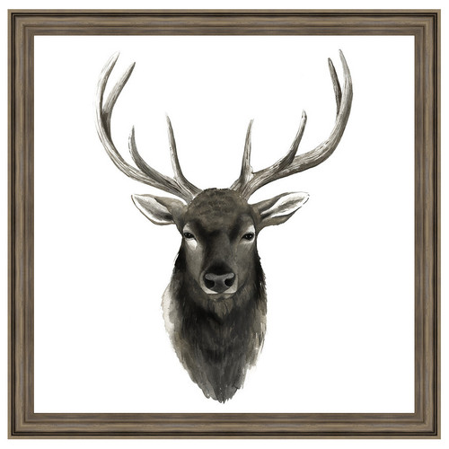 Western Animal Study V Framed Print