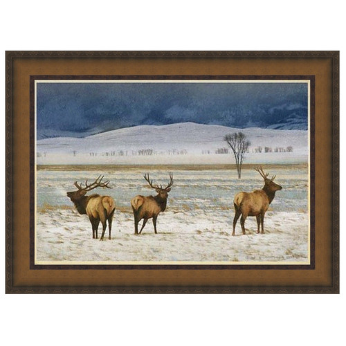Refuge Elk Framed Canvas