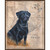 Texas Black Lab Pup Framed Canvas