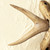 Forked Antler Curtain Rod Finials (Set of 2)