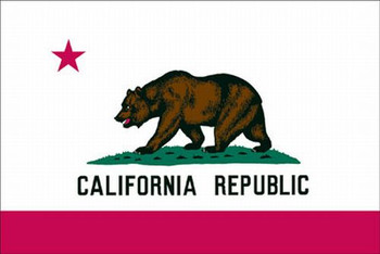 8'x12' Nylon California Flag