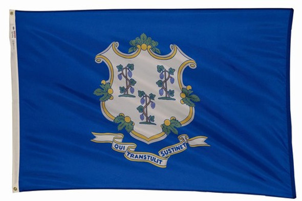 Connecticut State Flag 5x8 Feet SpectraPro Polyester by Valley Forge Flag 58332070