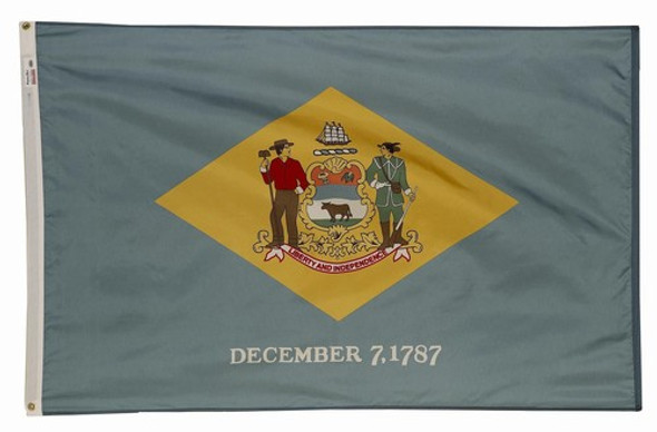 Delaware State Flag 2x3 Feet Spectramax Nylon by Valley Forge Flag 23232080