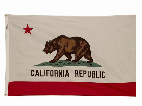 California State Flag 4x6 Feet Spectramax Nylon by Valley Forge Flag 46232050