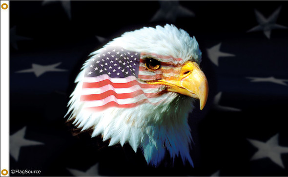 Patriotic Eagle 3 feet by 5 feet Nylon Flag