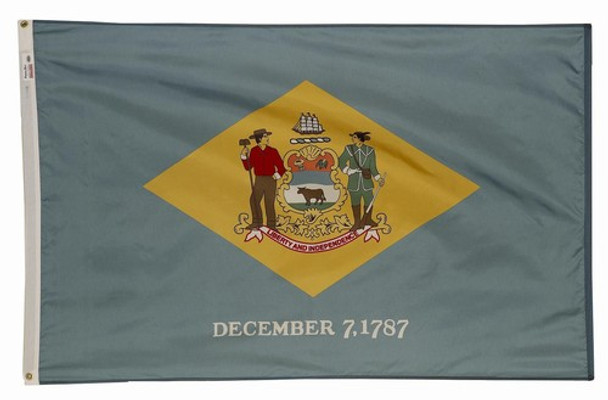 Delaware State Flag 6x10 Feet Spectramax Nylon by Valley Forge Flag 60232080