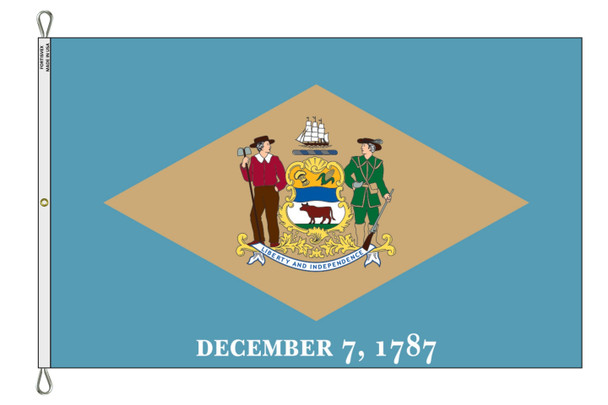 Delaware 12x18 Feet Nylon State Flag Made in USA