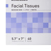 McKesson Facial Tissue White 5-7/10 X 7 Inch 40 Count 40/BX