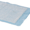 Disposable_Underpad_UNDERPAD__STD_23X24_(10/BG_20BG/CS)_KENICO_Underpads_034692_494384_730985_1091178_228086_7136