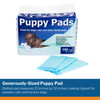 Disposable Underpad for Pets Cypress 22 X 22 Inch Heavy Absorbency 100/BG