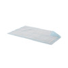 Disposable Underpad ProCare 21 X 34 Inch Fluff Light Absorbency 150/CS