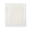 Super Absorbent Dressing KerraMax Care 4 X 4 Inch Square 10/CT