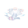 Incontinence_Brief_BRIEF__INCONT_SENI_SUPER_PLUS_REG_40"-50"_(10/PK_4PK/CS)_Adult_Briefs_and_Protective_Undergarments_730973_S-RE10-BP1