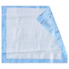 Disposable Underpad Wings Quilted Premium Comfort 30 X 36 Inch Airlaid Heavy Absorbency 40/CS