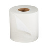 Toilet_Tissue_TISSUE__TOILET_PREM_WHT_2PLY_(500SHEETS/RL_80RL/CS)_Toilet_Tissues_532821_766712_863080_509038_710292_1206040_506914_165-TP500P