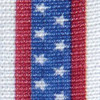 Cast Tape Delta-Cast Prints 3 Inch X 12 Foot Polyester Stars and Stripes Print 10/BX
