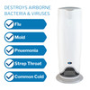 RxAir Air Purifier 800 Square Feet 32 X 12-1/2 X 9-1/2 Inch 120 V UltraViolet Light 1/EA