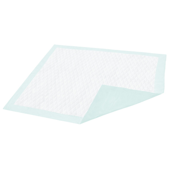 Dignity Light Absorbency Underpad, 23 x 26 in.