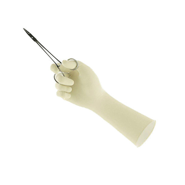 Surgical Glove ENCORE Perry Style 42 PF Size 7 Sterile Latex Standard Cuff Length Micro-Textured Natural Chemo Tested 50/BX