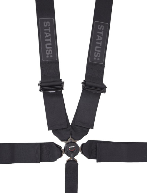 SR 5 Point Camlock Harness