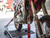 Cam-Lock 1 in. x 10 ft. Tie Down w/ Snap 'S' Hooks and Soft Tie