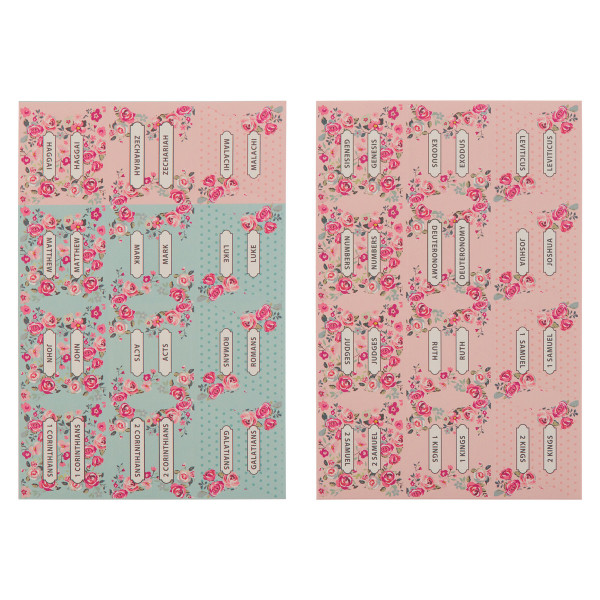 Pink and Blue Old and New Testament Bible Index Tabs