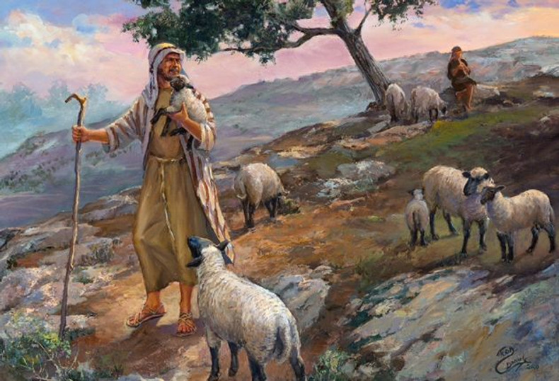 Through The Eyes Of A Shepherd 