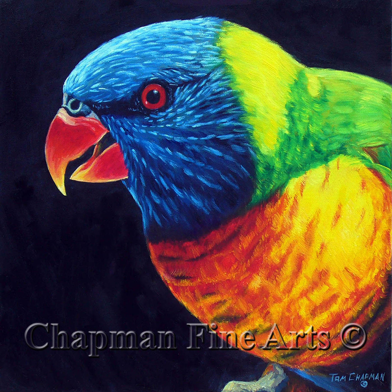 Rainbow Lorikeet Oil Painting