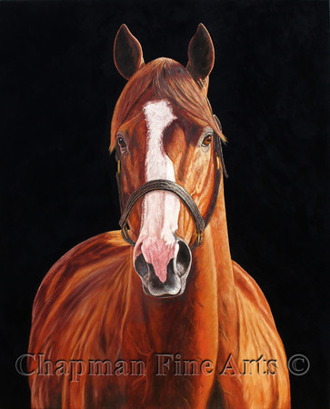 Oil paintings of famous horses Oil paintings of famous horses
