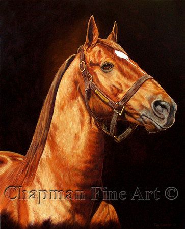 Man O War Giclee prints, unframed Man O War Giclee prints, unframed