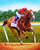 racing silks paintings  racing silks paintings