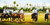 Setting Up for the Turn - horseracing giclee canvas print Setting Up for the Turn - horseracing giclee canvas print