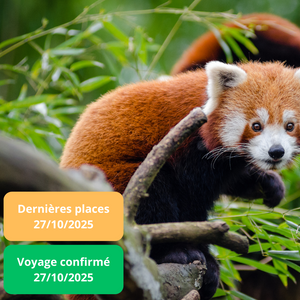 Lundi 27/10/2025 Zoo de Beauval✔️CONFIRMÉ Lundi 27/10/2025 Zoo de Beauval✔️CONFIRMÉ