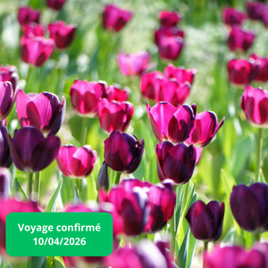 Vendredi 10/04/2026 Escapade Printanière : Fête des Tulipes à Morge, Spa Détente et Croisière à Thonons-les-Bains✔️CONFIRMÉ