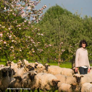 Samedi 29/11/2025 Entre savoir-faire et traditions : escapade gourmande et découverte de producteurs Samedi 29/11/2025 Entre savoir-faire et traditions : escapade gourmande et découverte de producteurs