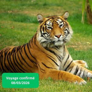 Dimanche 08/03/2026 Thoiry Zoo Safari✔️CONFIRMÉ