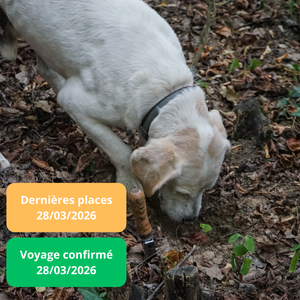 Samedi 28/03/2026 Week-end dans la Drôme au sein du Best Western Hôtel Atrium Valence 4 étoiles✔️CONFIRMÉ