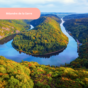 Vendredi 23/05/2026 Méandre de la Sarre
