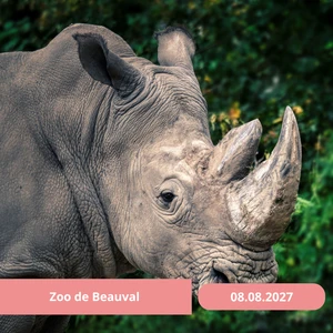 Dimanche 08/08/2027 Le Zoo de Beauval