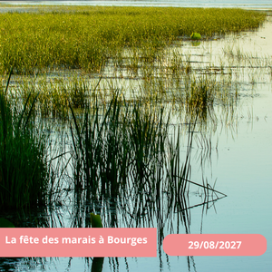 Samedi 29/08/2027 La fête des marais à Bourges