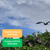 Samedi 30/05/2026 Le Crotoy et la réserve ornithologique de Grand-Laviers✔️CONFIRMÉ