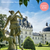 Mardi 11/08/2026 Prestige et saveurs au Château de Valencay✔️CONFIRMÉ