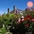 Mardi 25/08/2026 Les jardins Henri Le Sidaner et les jardins d'André Van Beek✔️CONFIRMÉ