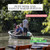 Vendredi 23/04/2027 Petit week-end dans le Marais Poitevin✔️CONFIRMÉ