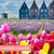 Samedi 24/04/2027 Évasion hollandaise : tulipes et trésors du Nord au sein du Motto by Hilton Rotterdam Blaak 4 étoiles ✔️CONFIRMÉ